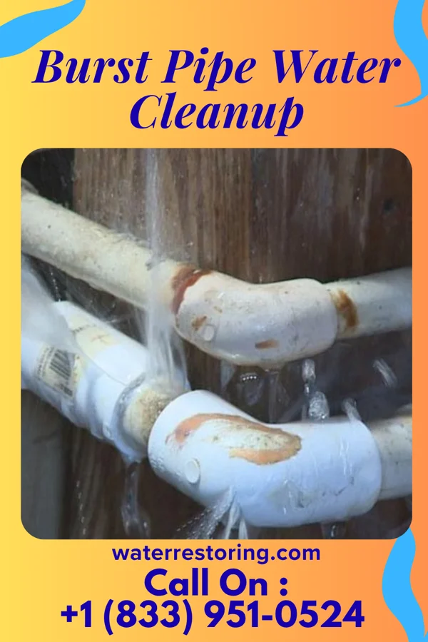 Burst Pipe Water Cleanup in Ulen, IN